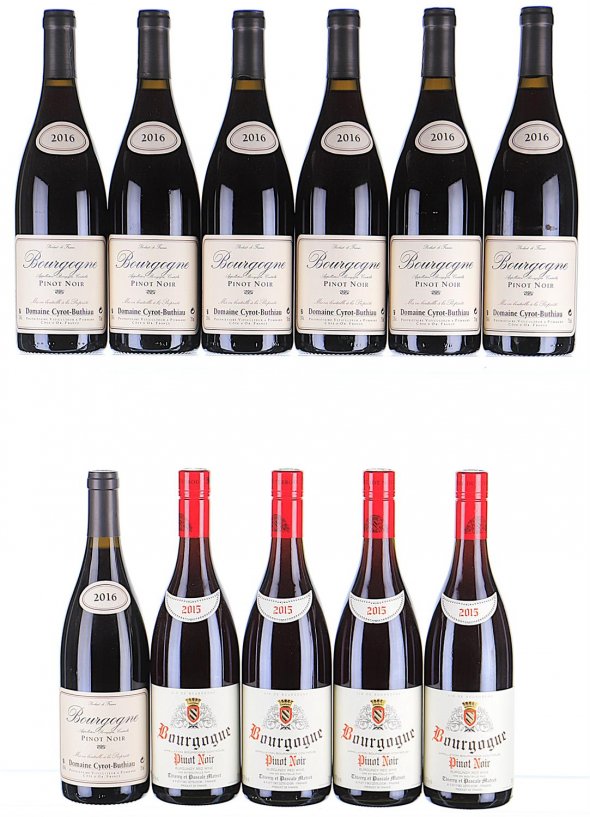 2015/2016 Mixed Lot of Red Burgundy