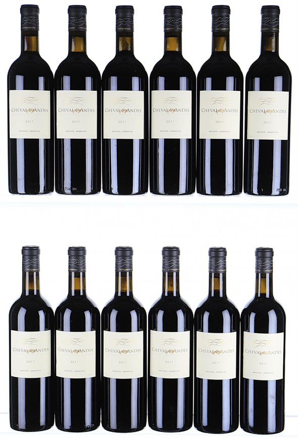 Cheval des Andes, Lujan de Cuyo Mendoza