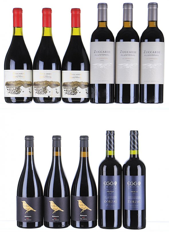 2013/2016 Zuccardi and Zorzal Wines