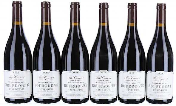 Meo Camuzet Frere et Soeurs, Bourgogne, Cote d'Or Hemisphere Sud - In Bond