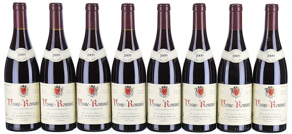 Alain Hudelot-Noellat, Vosne-Romanee