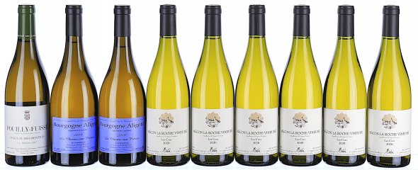 2017/2020 Mixed Lot of White Burgundy