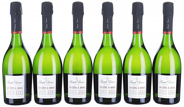 Joseph Perrier, La Cote a Bras Brut Nature, Parcelle AH83